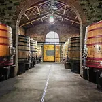 Borgo Syrah * Cortona