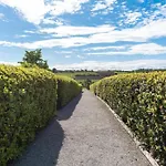 Borgo Syrah Holiday home Cortona