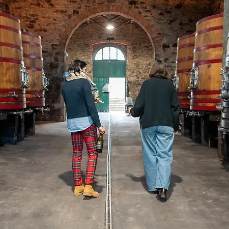 Borgo Syrah 別荘 コルトーナ