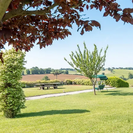 Borgo Syrah Cortona