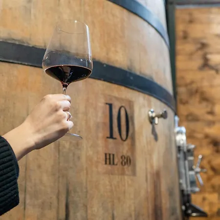 Borgo Syrah Hébergement de vacances