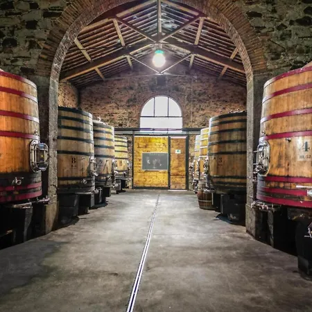 Borgo Syrah *