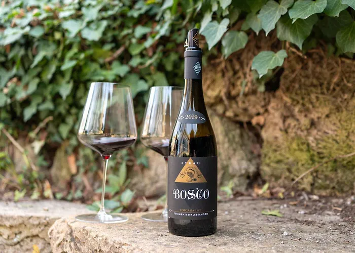 Дом отдыха Borgo Syrah