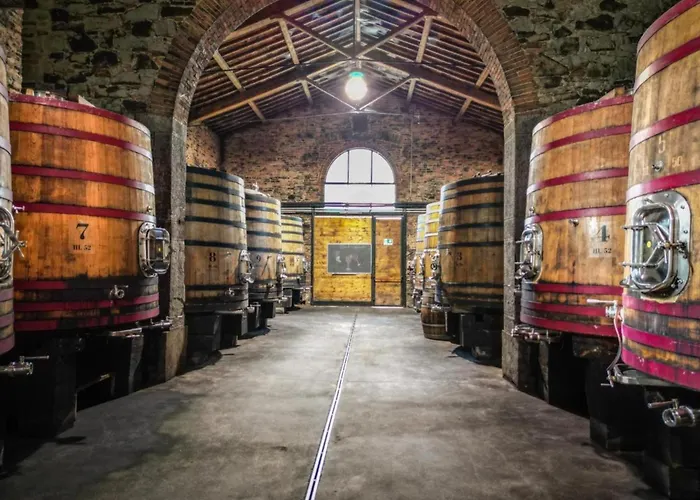 Borgo Syrah * Кортона