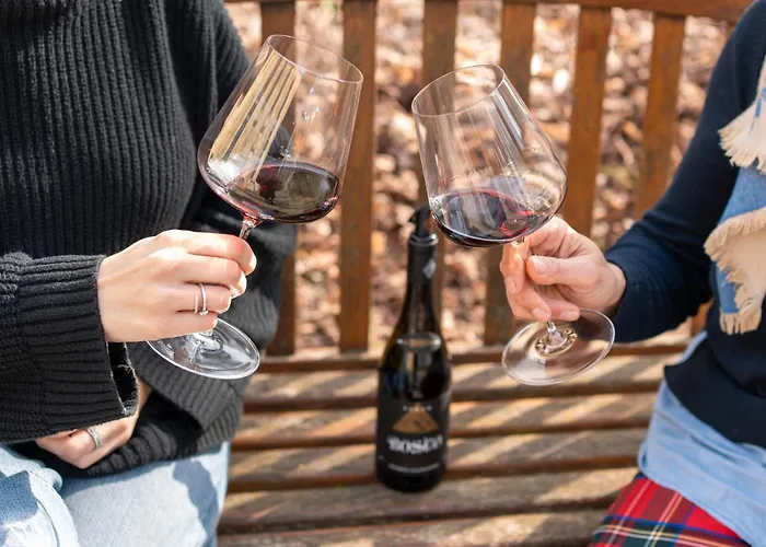 Borgo Syrah Дом отдыха *