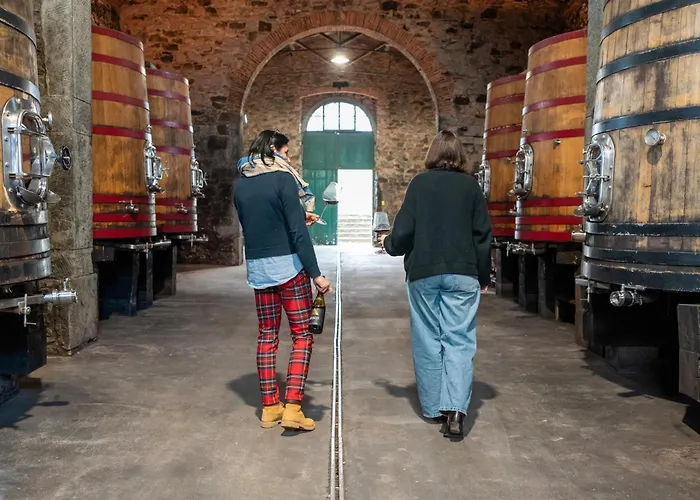 Borgo Syrah Feriehus Cortona