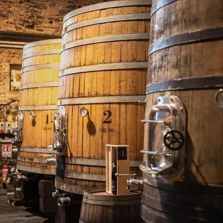 Vakantiehuis Borgo Syrah