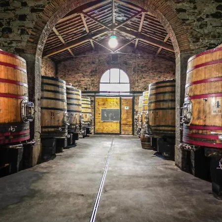 Borgo Syrah * Cortona